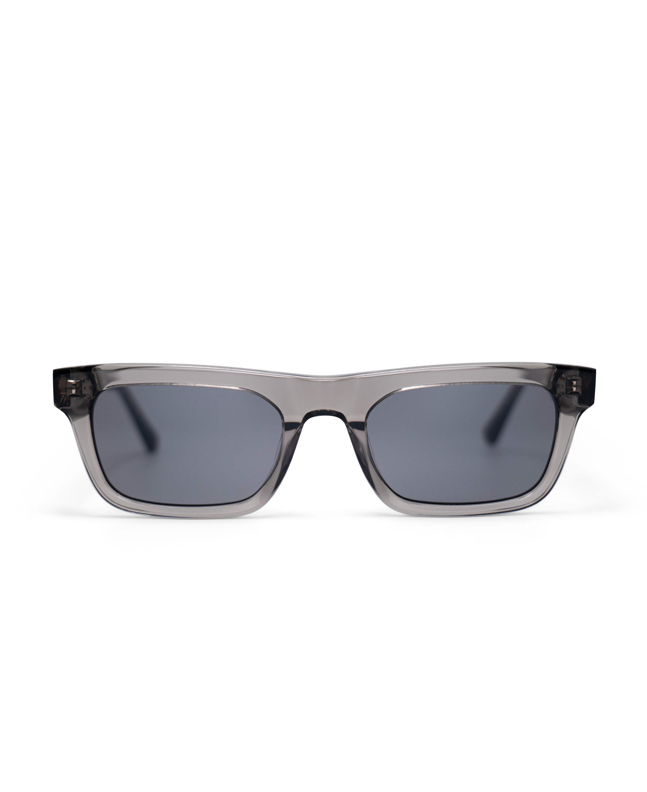 New Dylan Sunglasses Transparent Grey