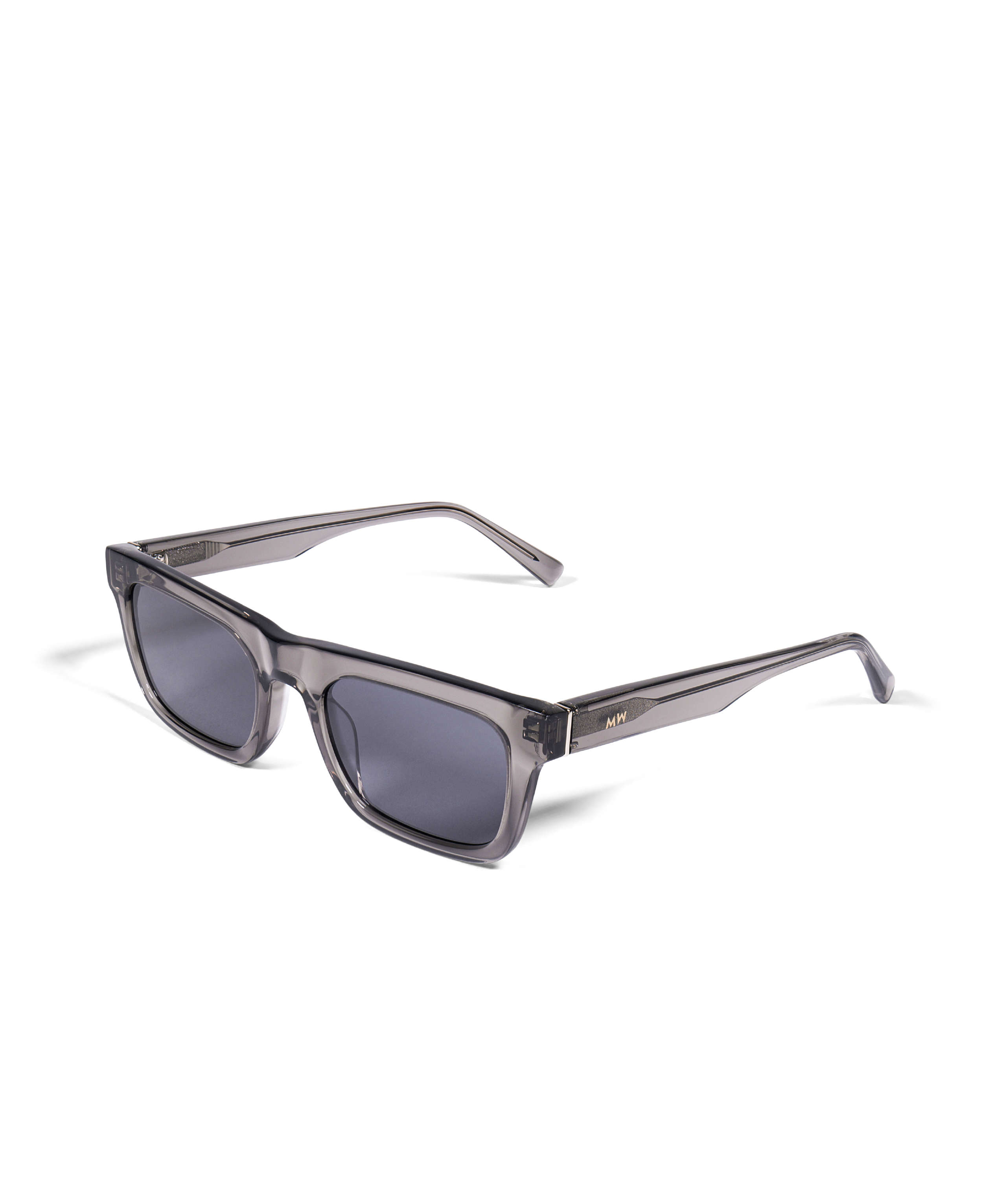 New Dylan Sunglasses Transparent Grey