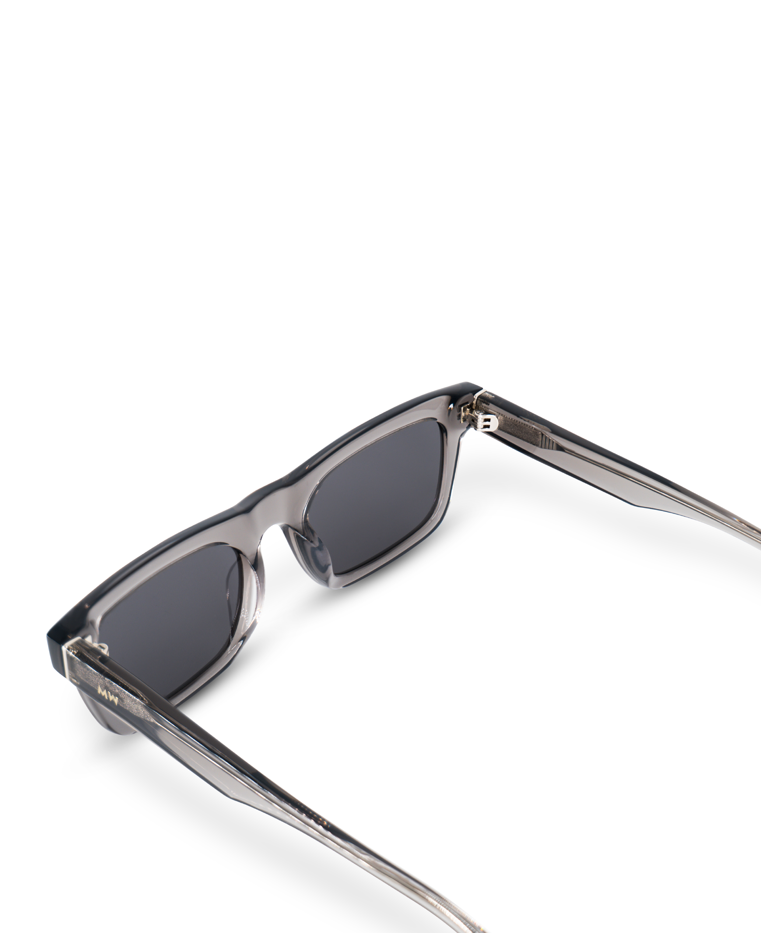 New Dylan Sunglasses Transparent Grey