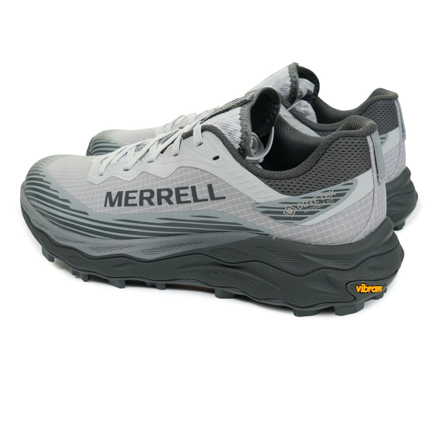 Agility Peak 6 GTX Trainers Ridgeway