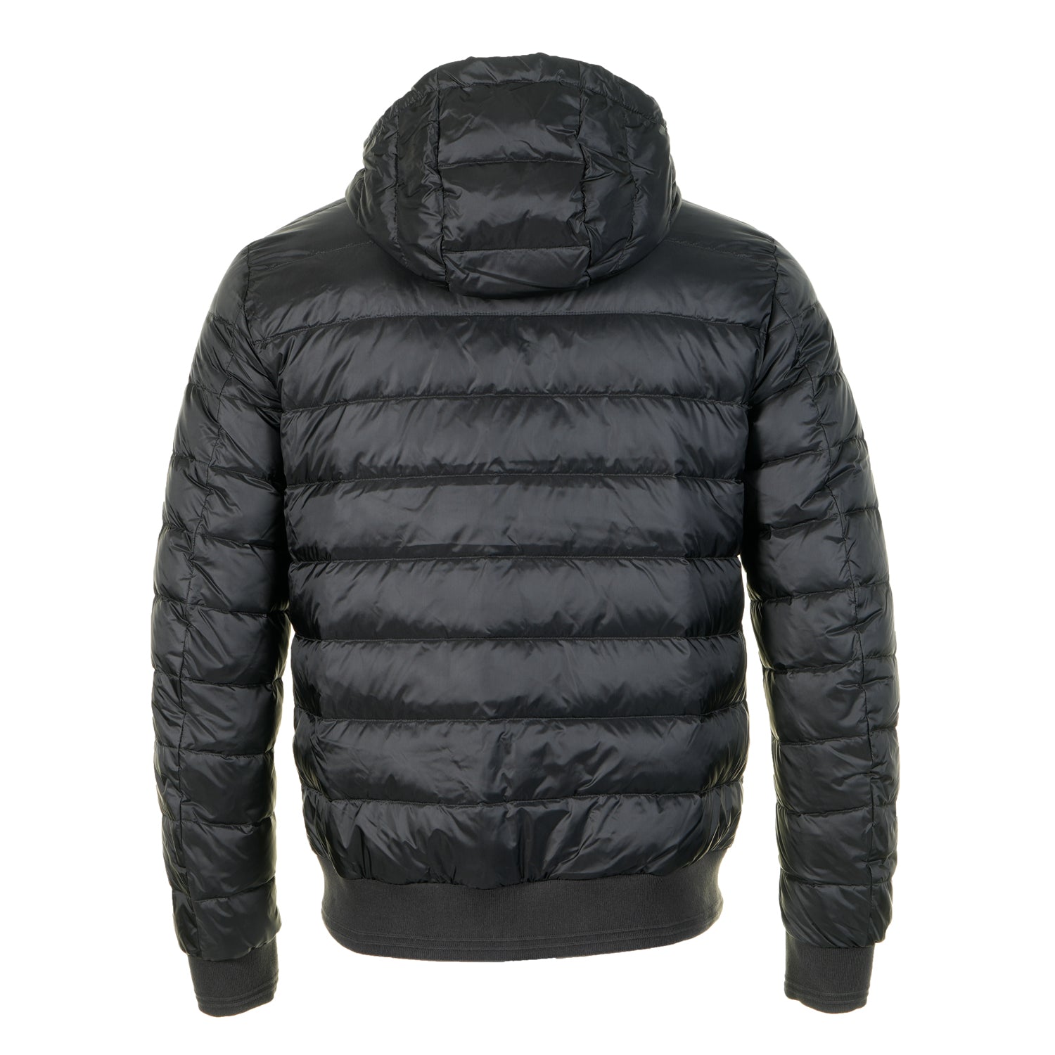 Control Jacket Black