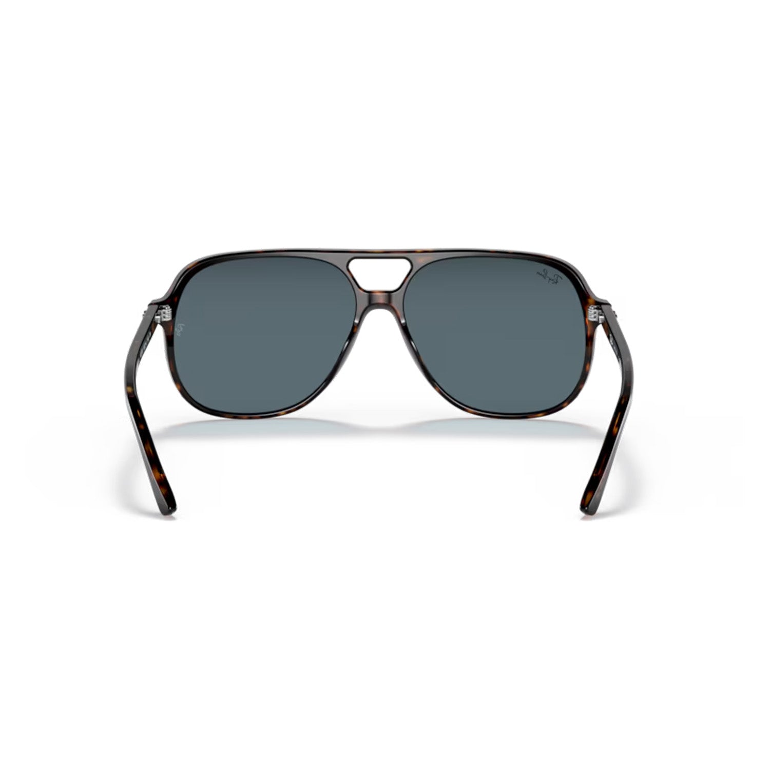 Bill Sunglasses Havana / Blue
