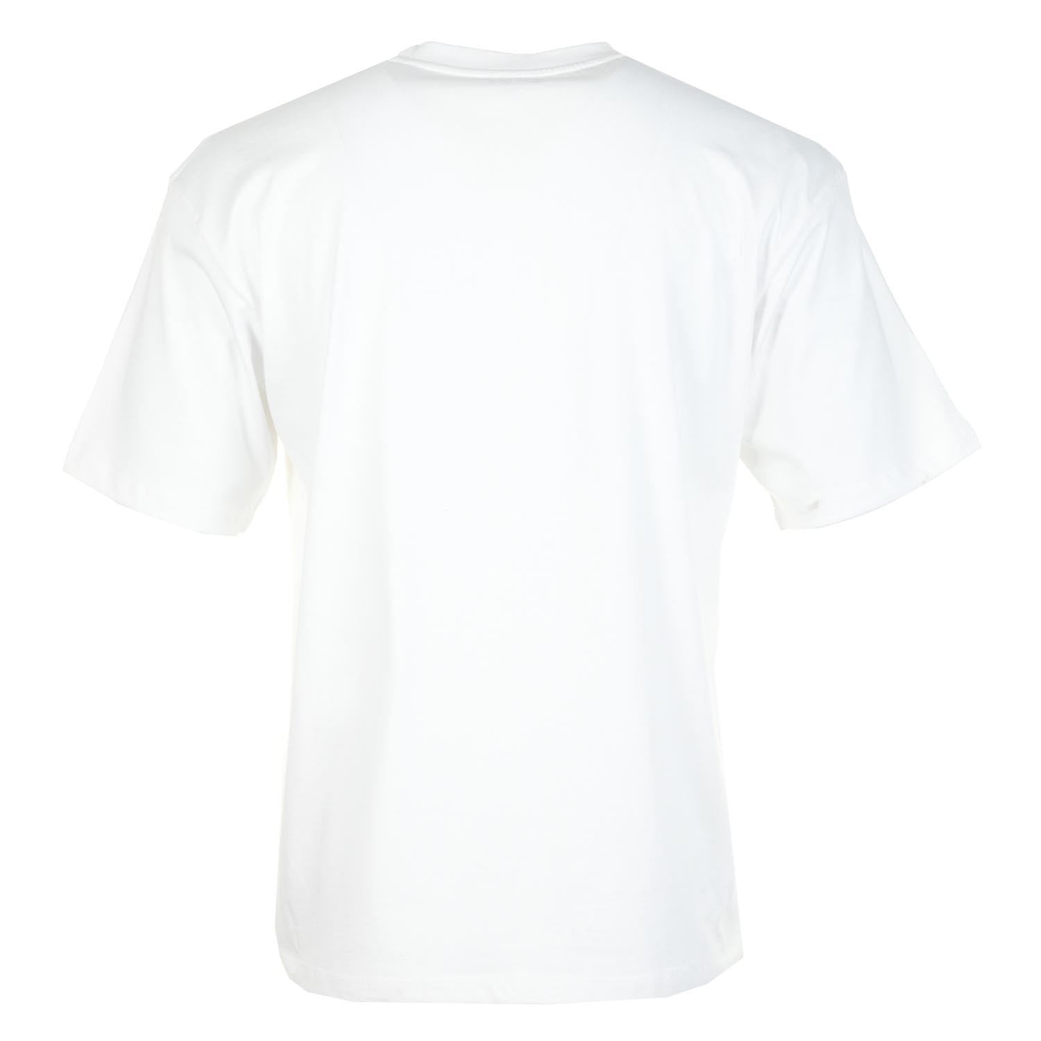Sunset On Fuji San Short Sleeve T Shirt White