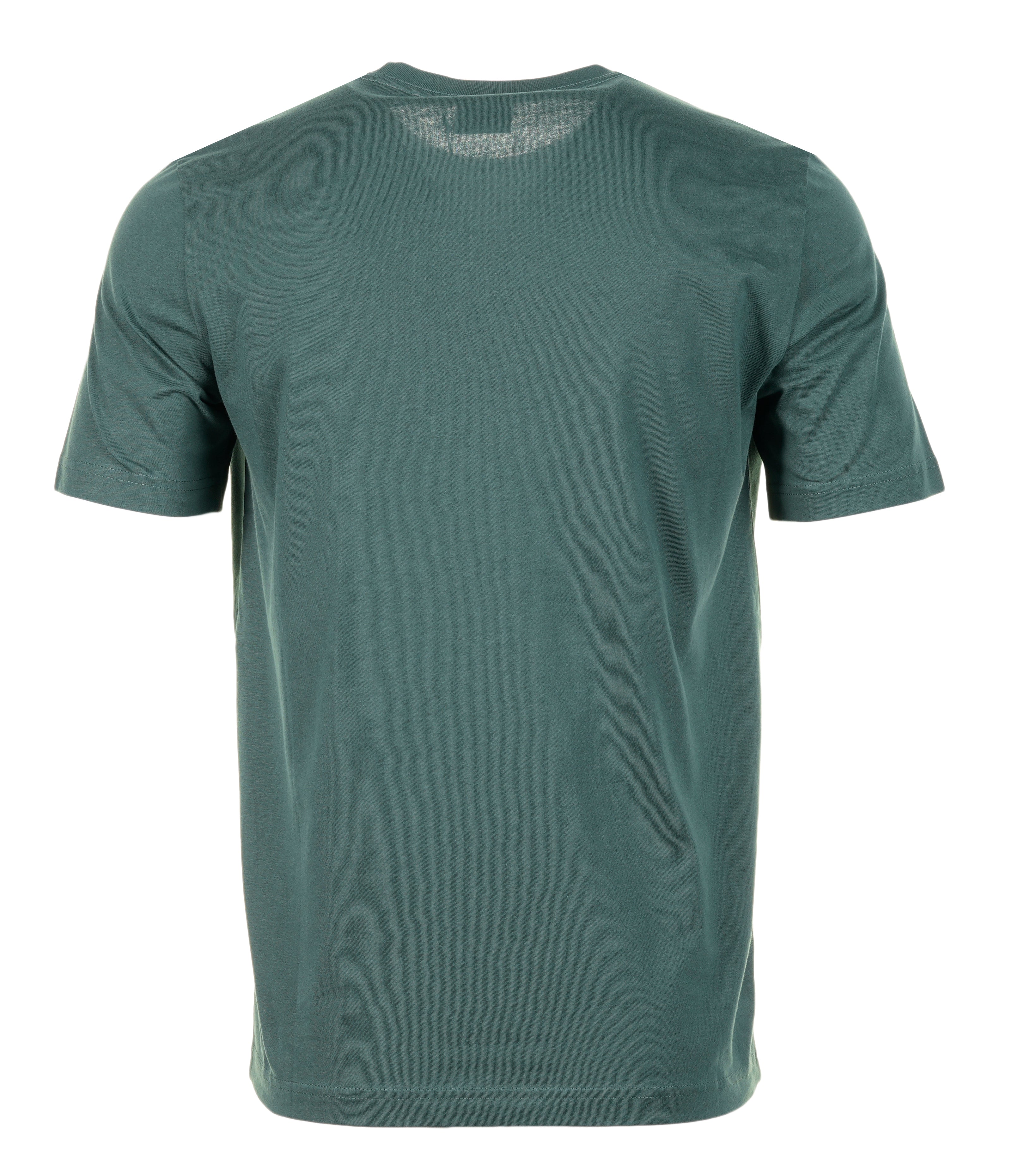 Regular Fit Zebra T Shirt 37D Petrol Green