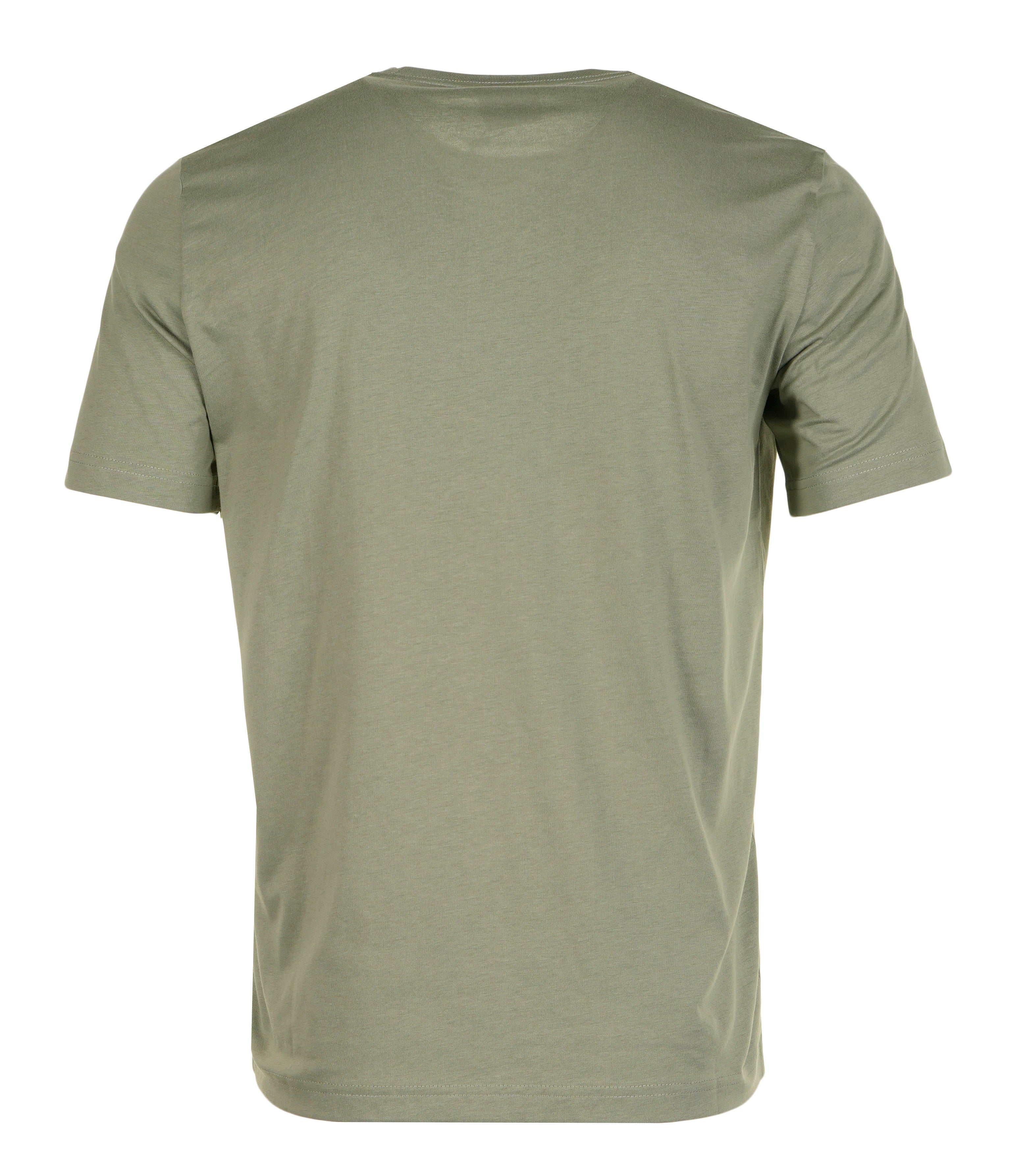 Regular Fit Zebra T Shirt Green