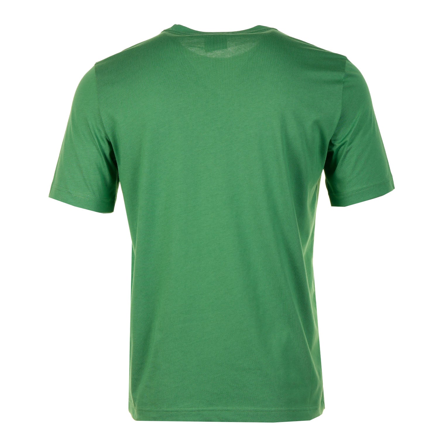 Regular Fit Zebra T Shirt 33E Green