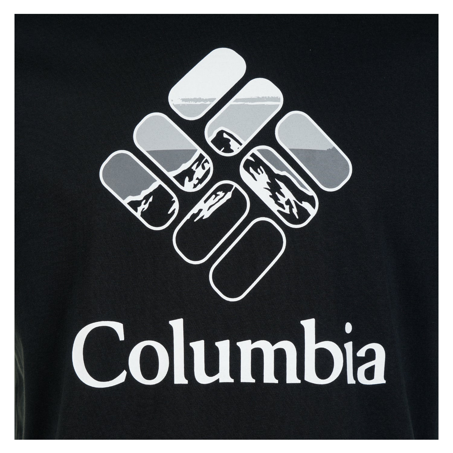 Seasonal Graphic T Shirt Black / Heavenly Stacked Gem
