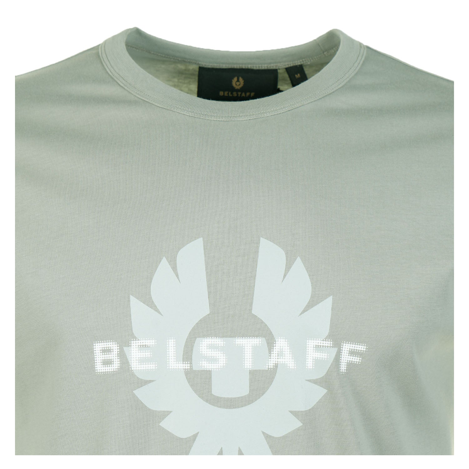 Short Sleeve Surface T Shirt Lichen