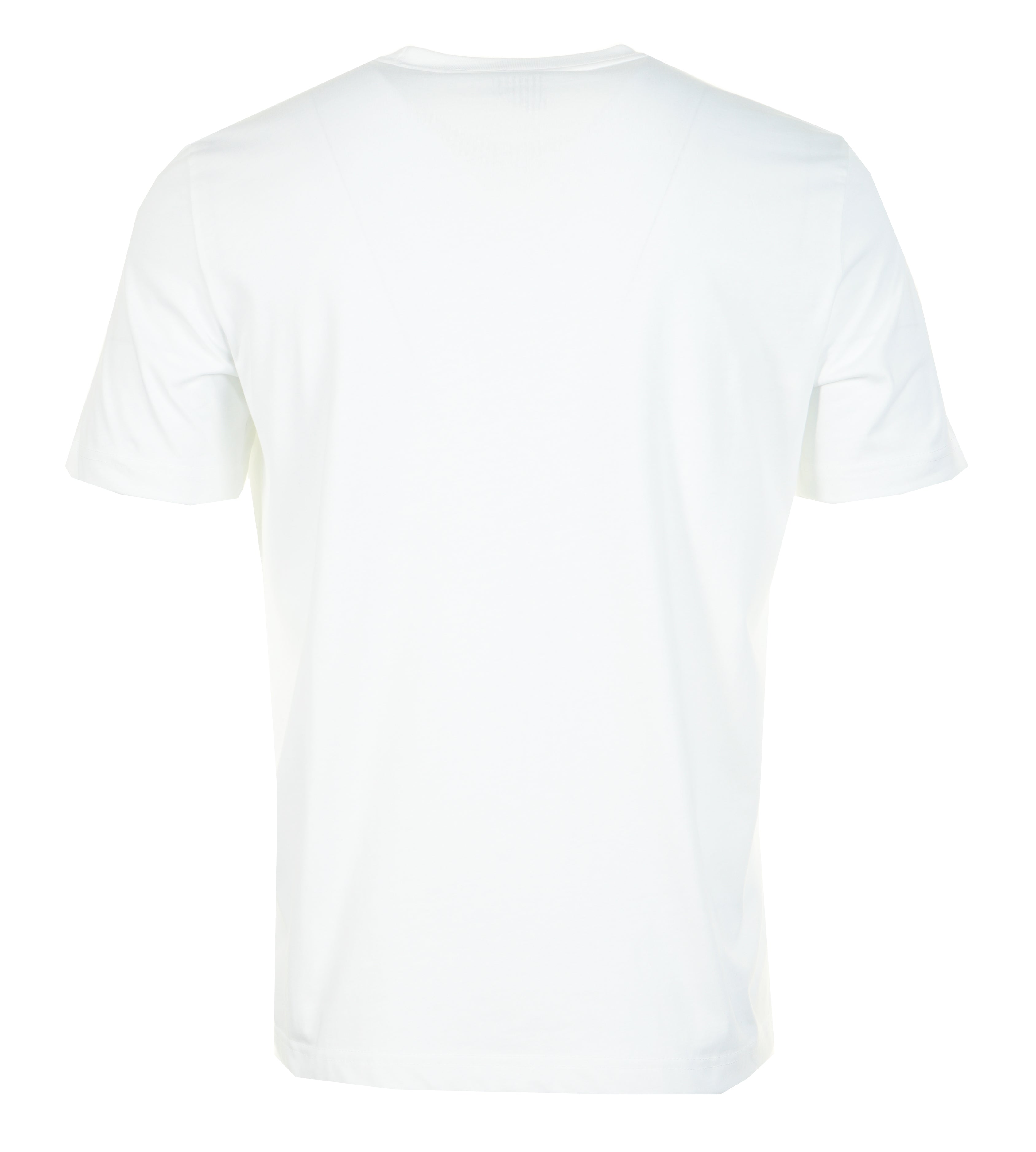 Regular Fit Cactus T Shirt White
