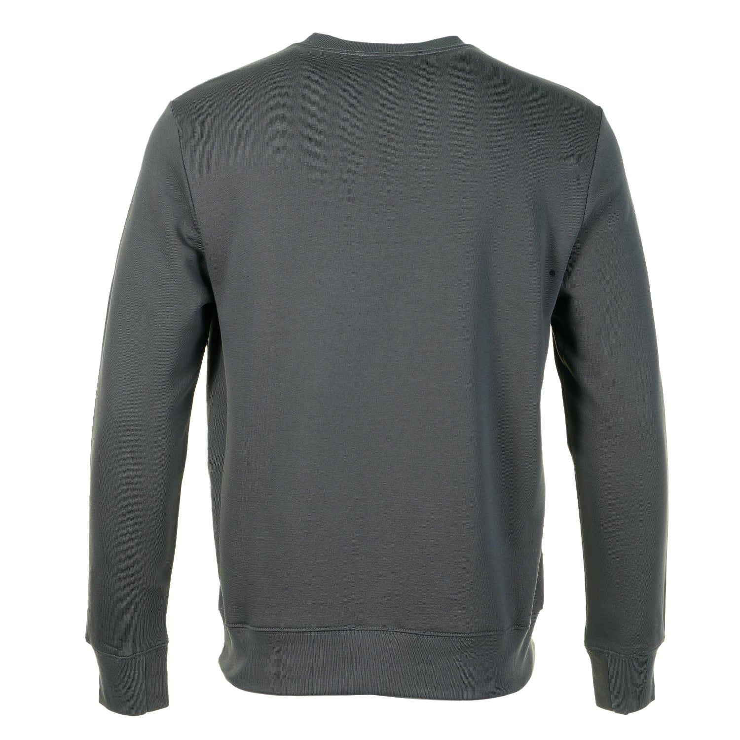 Zebra Crew Sweatshirt Slate
