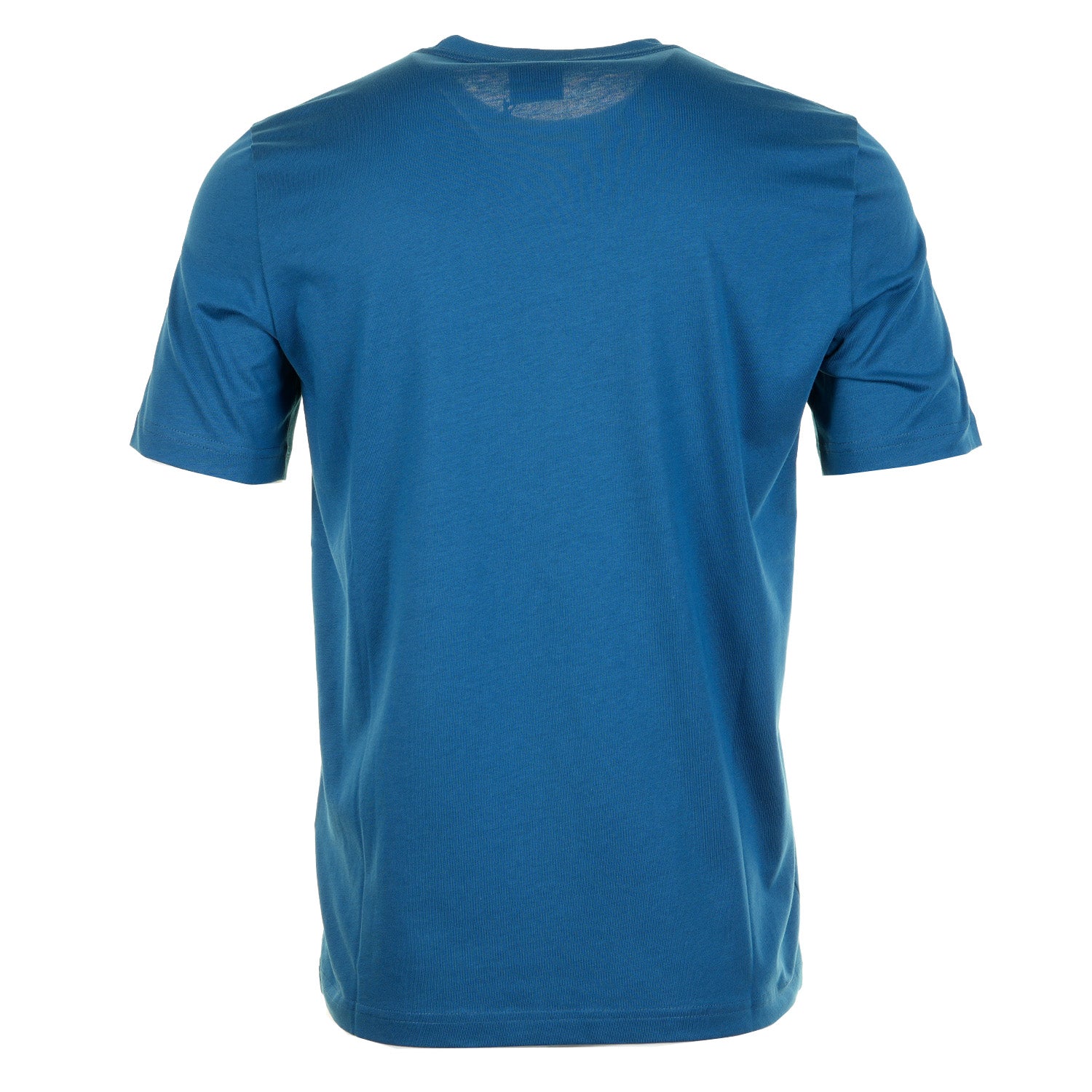 Regular Fit Zebra T Shirt 45F Cobalt