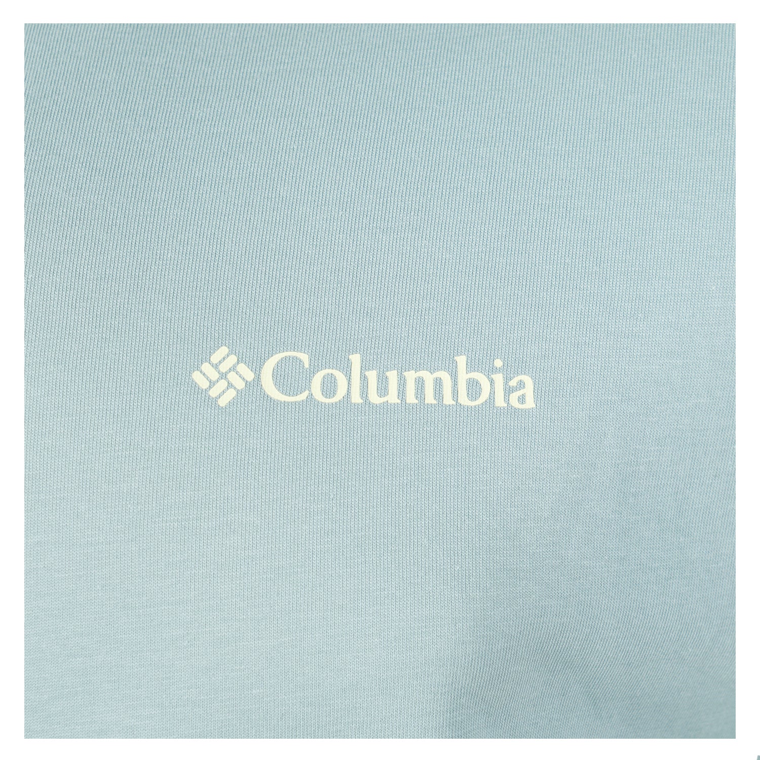 Short Sleeve Barton Springs Tee Crushed Blue Citron Haze