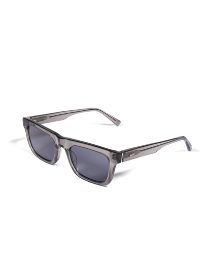 New Dylan Sunglasses Transparent Grey