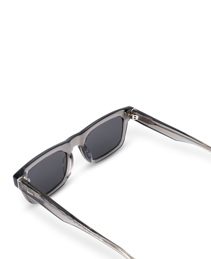 New Dylan Sunglasses Transparent Grey