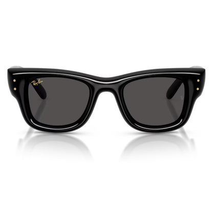 Ray Ban Wayfarer Puffer Black / Ultra Black