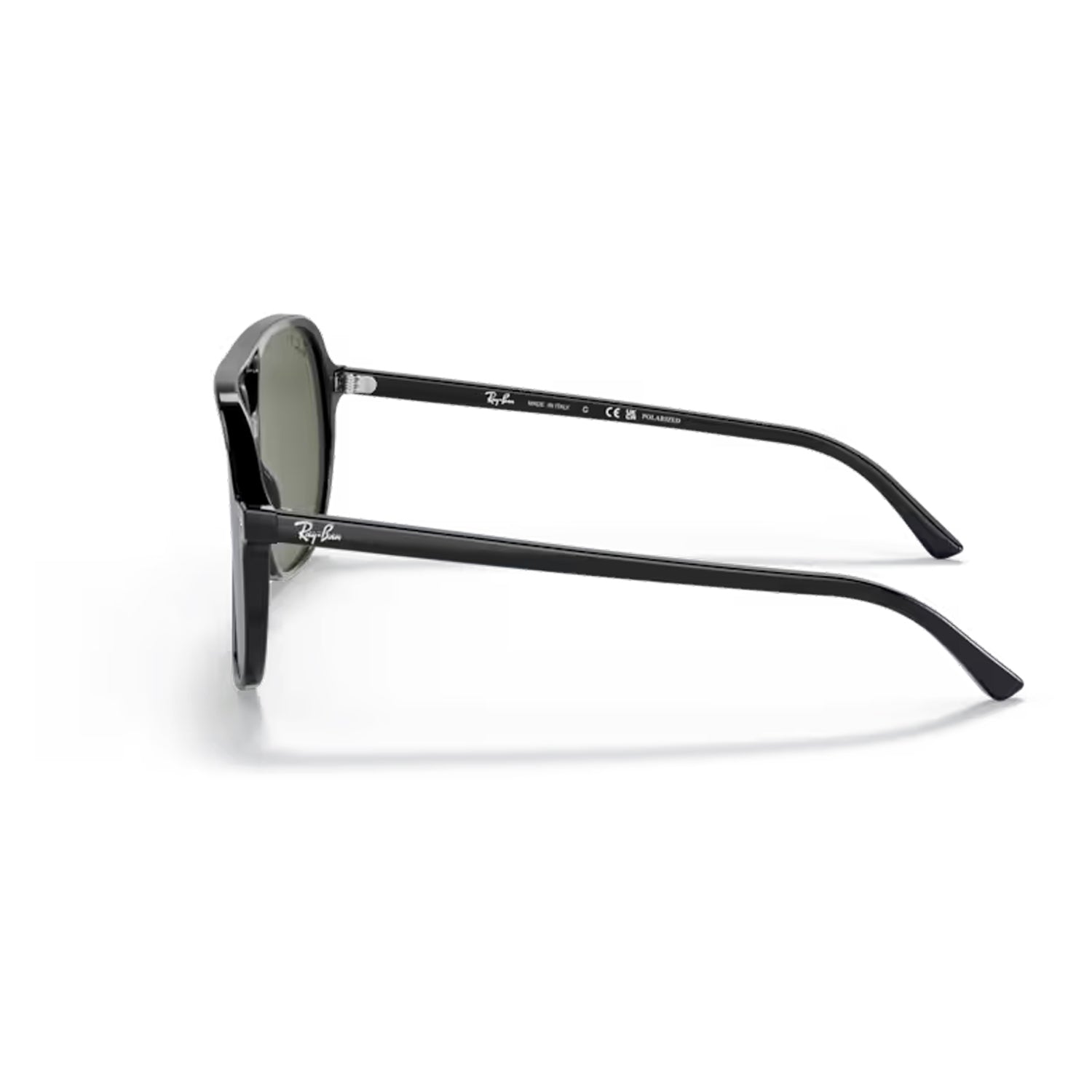 Bill Polarized Black / Polar Green