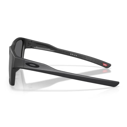 Briza Steel Sunglasses