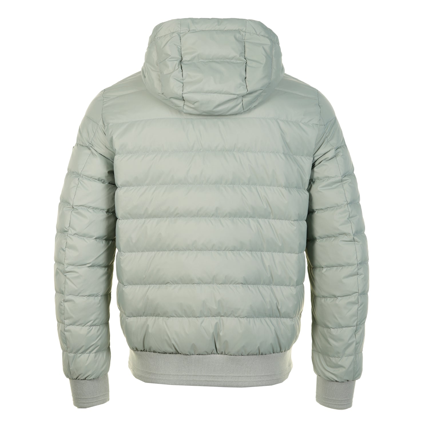 Control Jacket Lichen Green