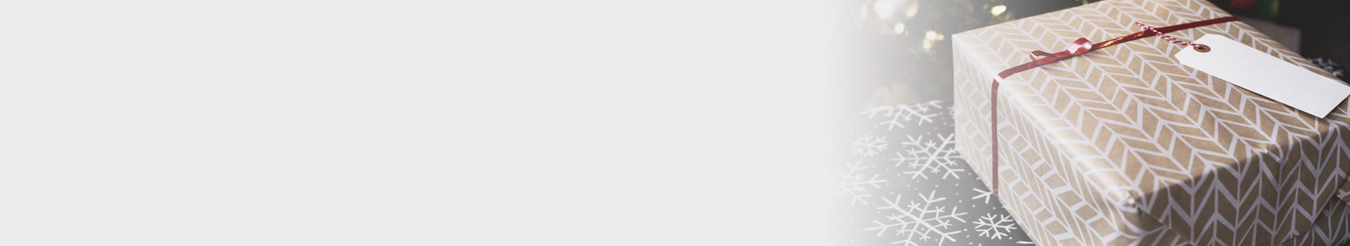 Christmas Gift Ideas