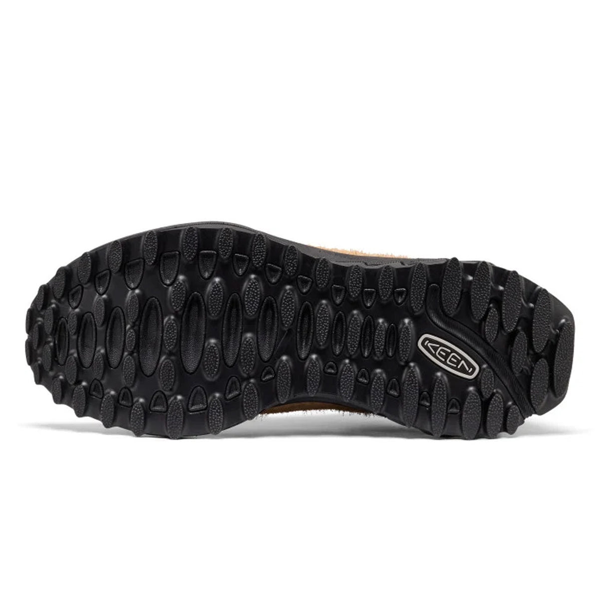 Jasper Zionic Trainer Chipmunk Huckleberry
