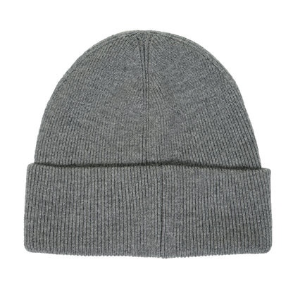 Large Logo Beanie Cement Nickel