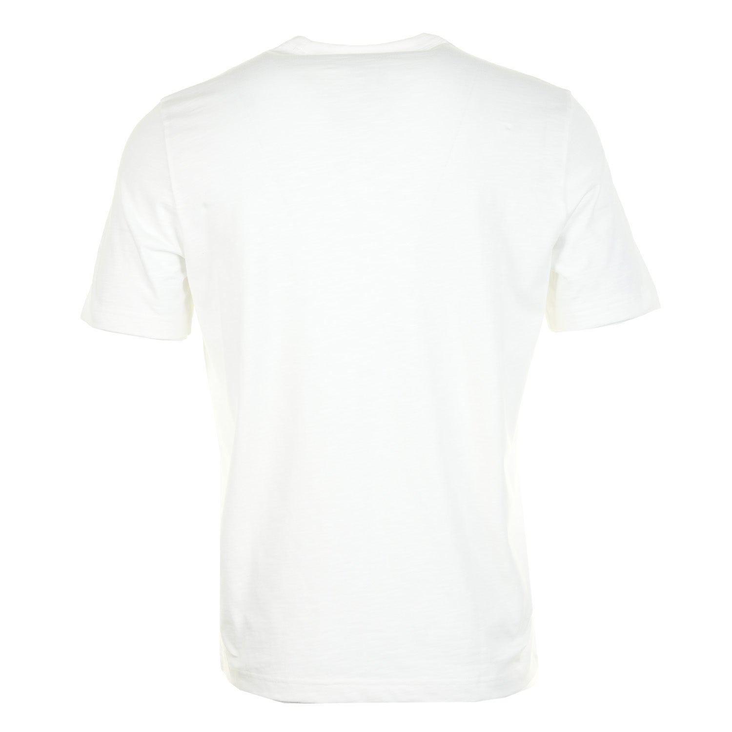 Regular Fit Short Sleeve T Shirt Sport Stripe White