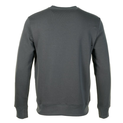 Zebra Crew Sweatshirt Slate